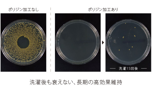 ポリジン加工の抗菌効果検証実験